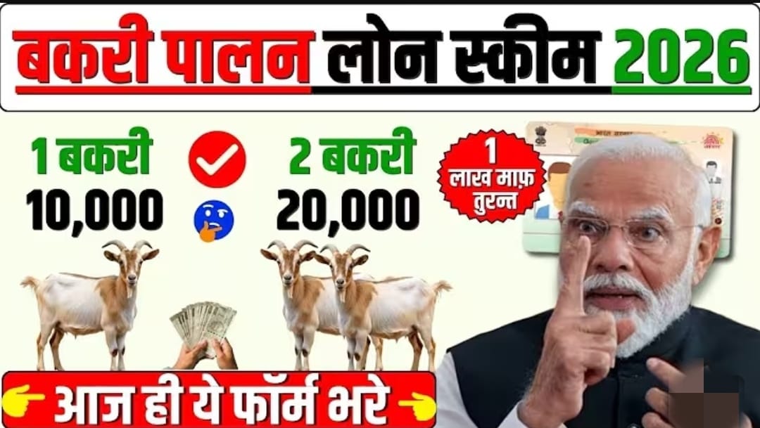 2026-goat-farming-loan